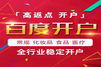 某电商平台的SEM广告投放策略及效果评估